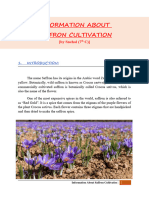 Information About Saffron Cultivation