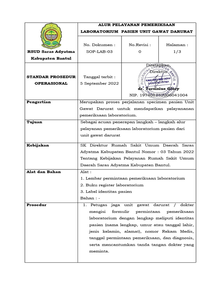 Alur Pelayanan Lab Ugd | PDF