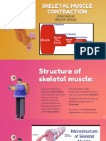 Skeletal Muscle Contraction