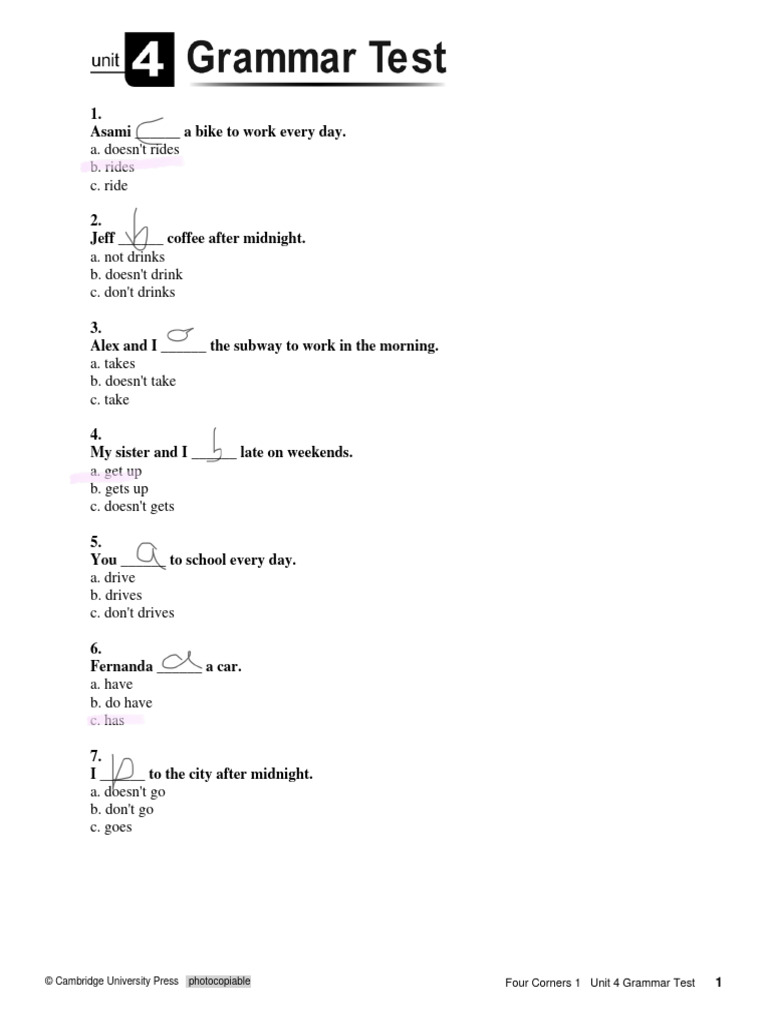 English Grammar Practice Test | PDF
