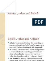 5 Attitude, Values and Beliefs