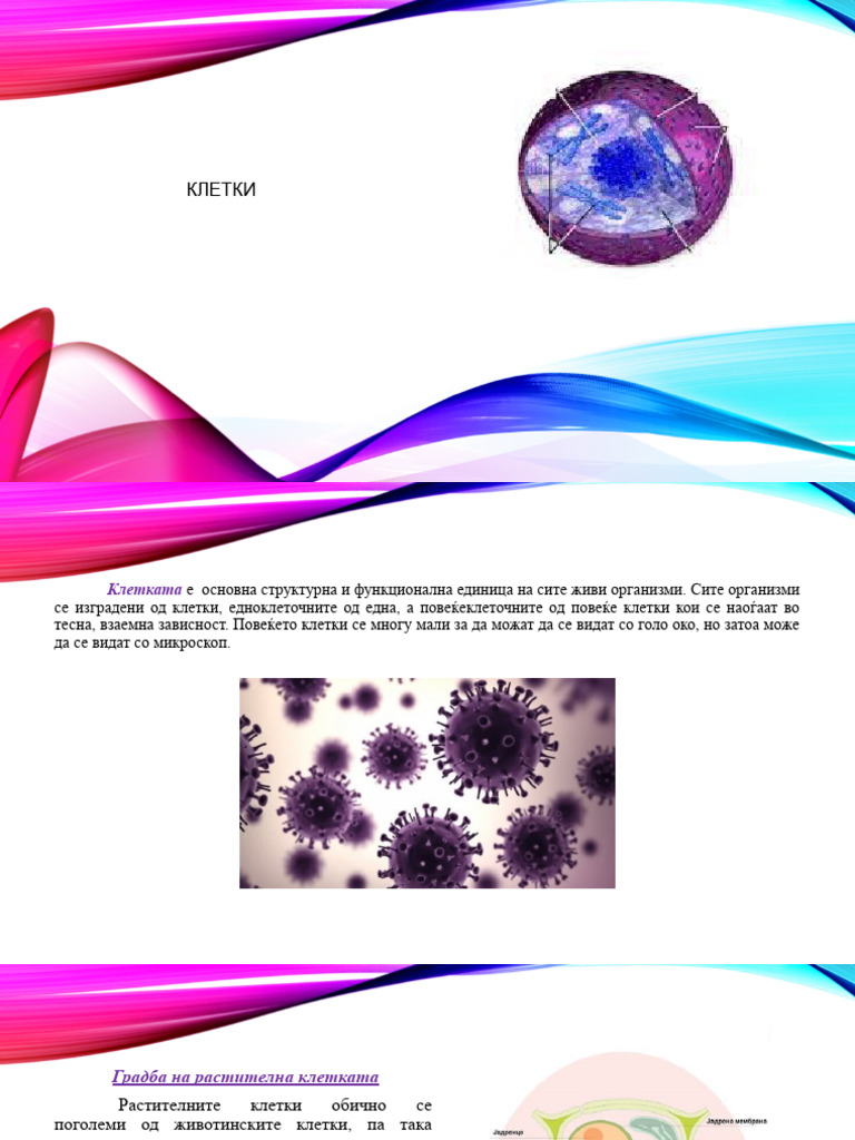 Клетки | PDF