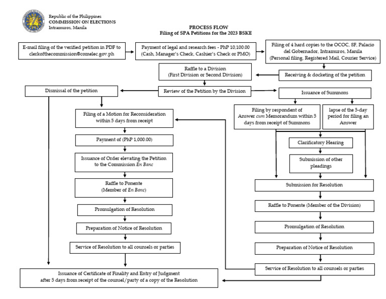 SPAPetition Flowchart | PDF
