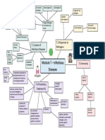 Module 7 Mind Map Biology