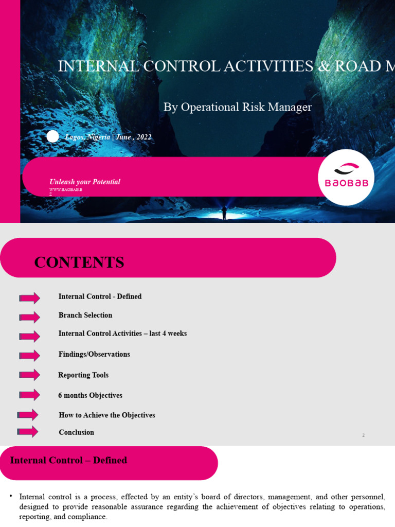 Internal Control Activities Report | PDF | Internal Control | Business