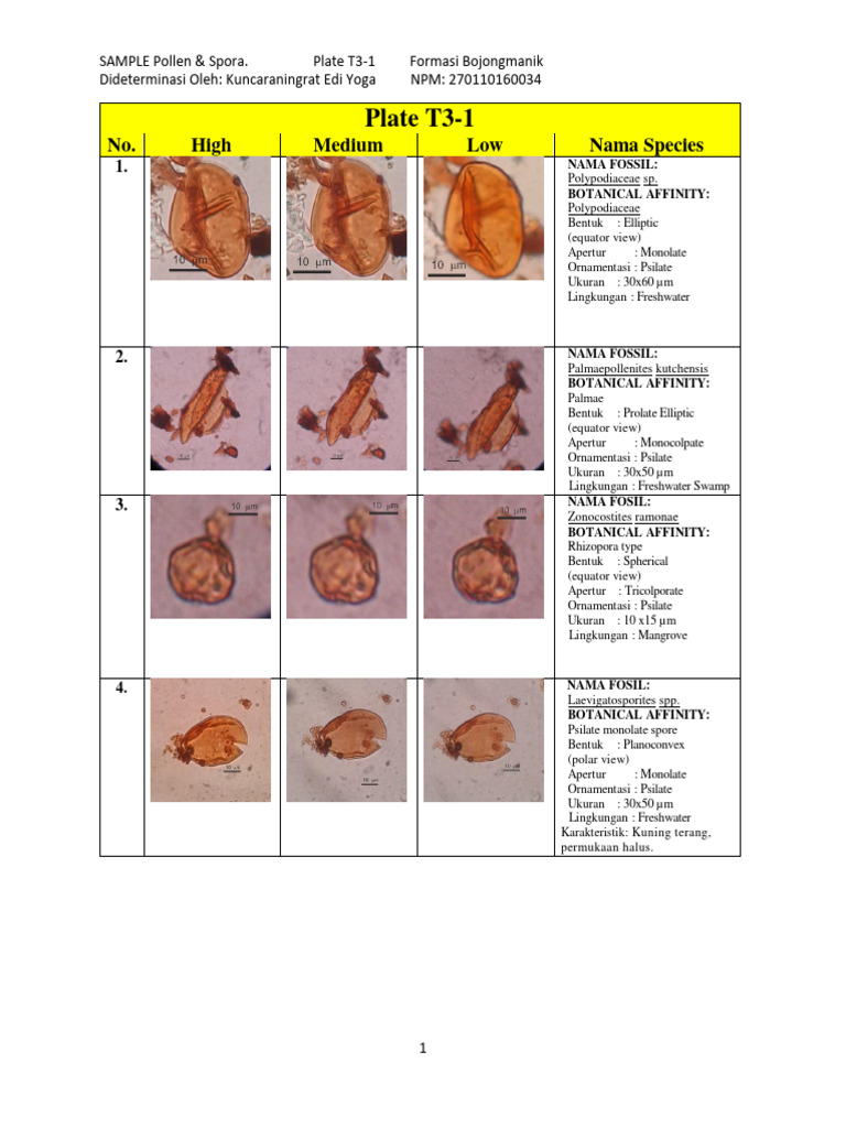 Men tasodifan eshakda jinsiy aloqada boldim