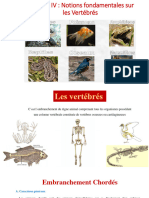 Cours Biologie Animale Vertebrés