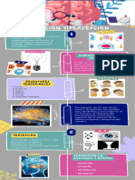 Infografía Moderna Ilustrada Endometriosis 