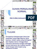 Asuhan Persalinan Normal 1