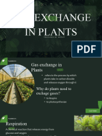 Gas Exchange in Plants. G1