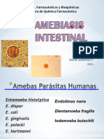 3.amebiasis Intestinal