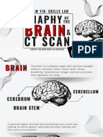 Anaphy of The Brain and CT Scan