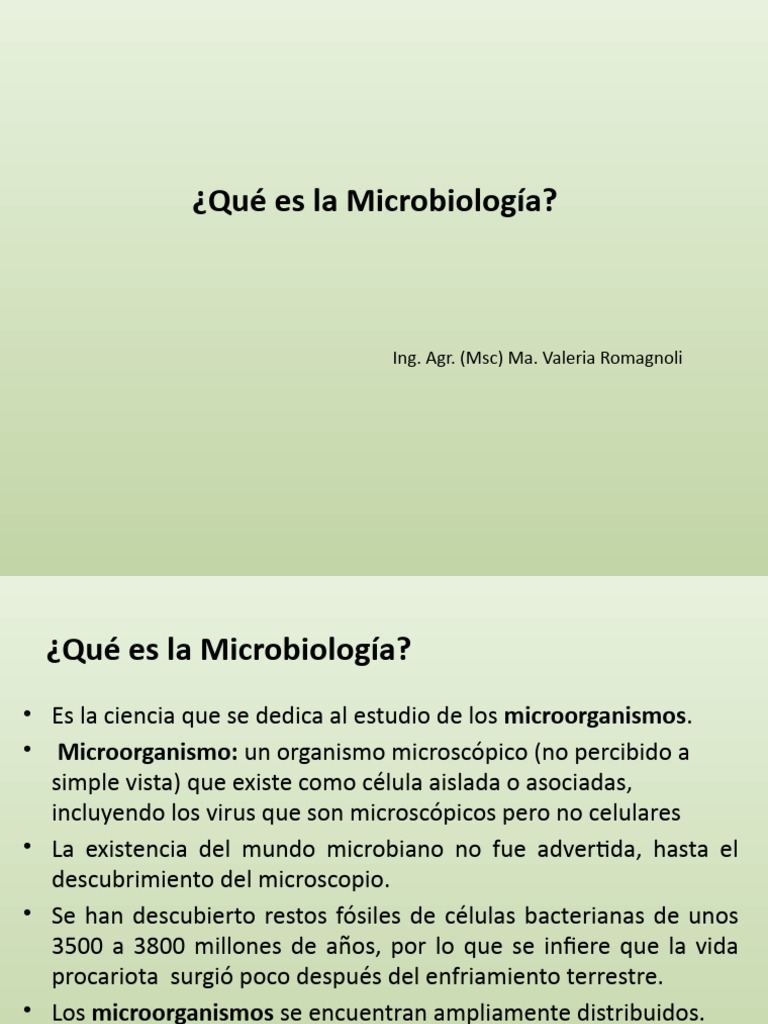 Financial Statements Format Pdf Class 12