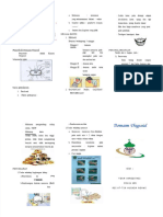 PDF Leaflet Thypoid