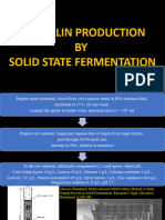 Penicillin Production by Solid State Fermentation