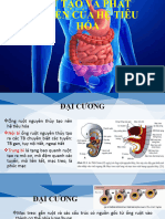 4. Sự Tạo Và Phát Triển Hệ Thống Tiêu Hóa 2 - Sao Chép