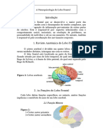 Neuropsicologia Do Lobo Frontal