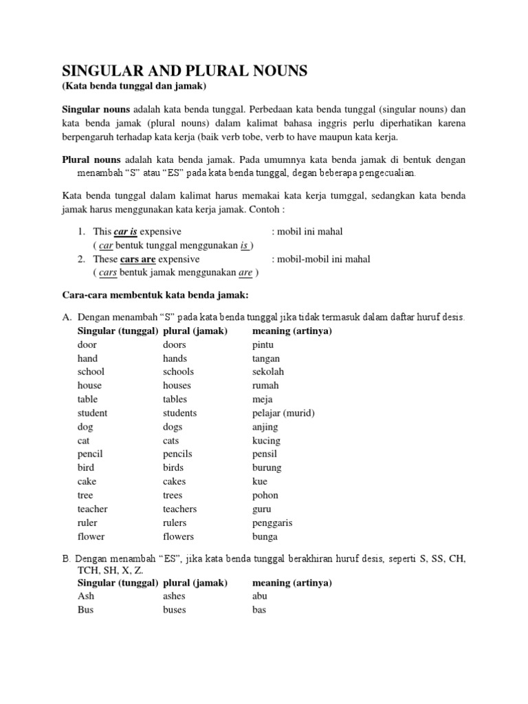 Singular And Plural