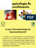 Neuropsicologia Do Desenvolvimento 2015