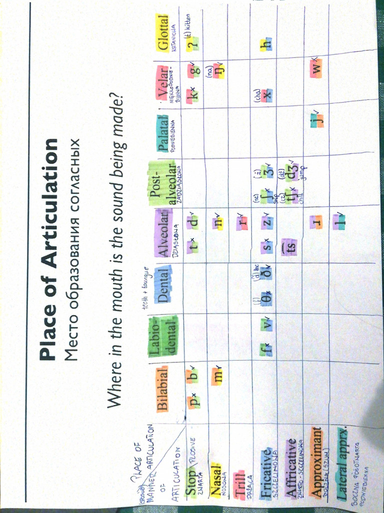 Place of Articulation | PDF