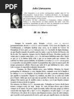 Download Julio Llamazares by Daniel Markov SN68177733 doc pdf
