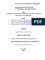 Informe Tutoria