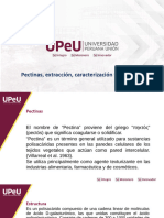 Pectinas, Extracción, Caracterización y Aplicaciones