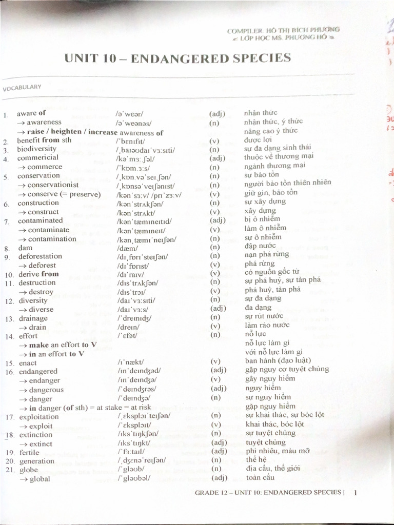 Unit 10 | PDF