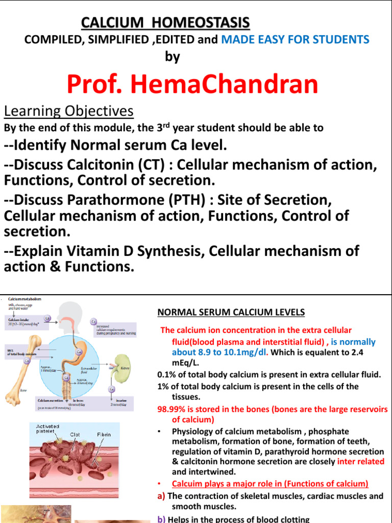 Calcium Homeostasis | PDF | Vitamin D | Calcium In Biology