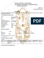 Ensayo de Declaración