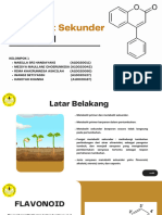 Metabolit Sekunder Flavonoid