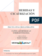 1 Heridas y Cicatrizacion