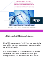 ADN Recombinante y Trangenicos