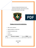 Trabajo Aplicativo Individual: Escuela Nacional de Formación Profesional Policial