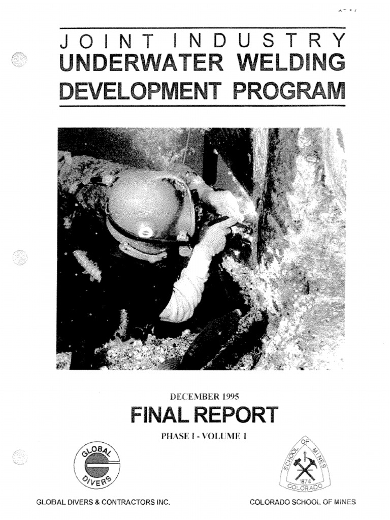 Clean Bulk Program Pdf