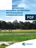 Ebook Protocolo de Boas Praticas Pecuarias No Pantanal Restauracao de Campo Nativos - Correto