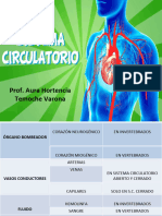 Prof. Aura Hortencia Temoche Varona