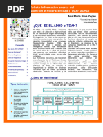 Folleto Adhd 2020 Papas y Profesores