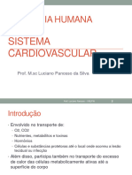Anatomia Humana - Sistema Cardiovascular