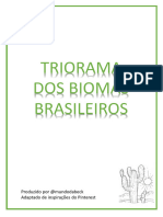 Triorama Biomas Brasileiros