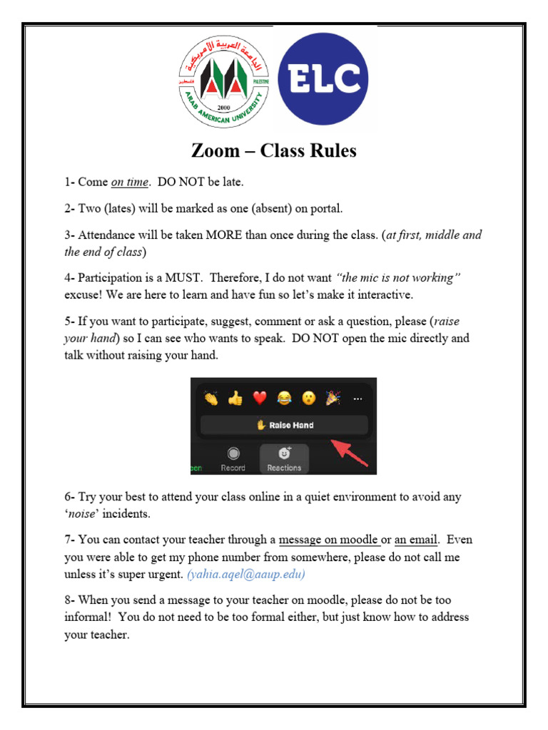 Zoom Class Rules PDF