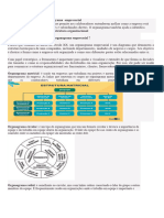 Organograma Empresarial