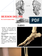 Huesos Del Pie