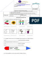 Evaluación Lenguaje N°3