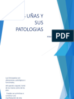 la uÃ±a y sus Patologias