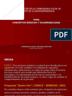 Vulnerabilidad Conceptos BAsicos en Consumo de Drogas