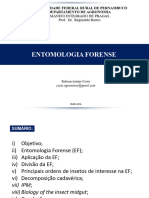 Mip Entomologia Forense