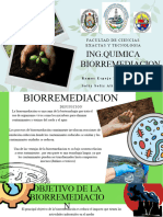 Biorremediacion 1