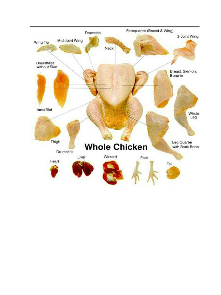 Potongan Ayam Gambar | PDF