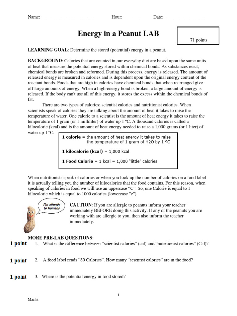 Energy in A Peanut Lab PDF Calorie Thermodynamics
